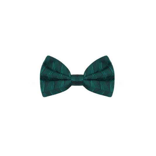 Green Silk Ties & Bowty